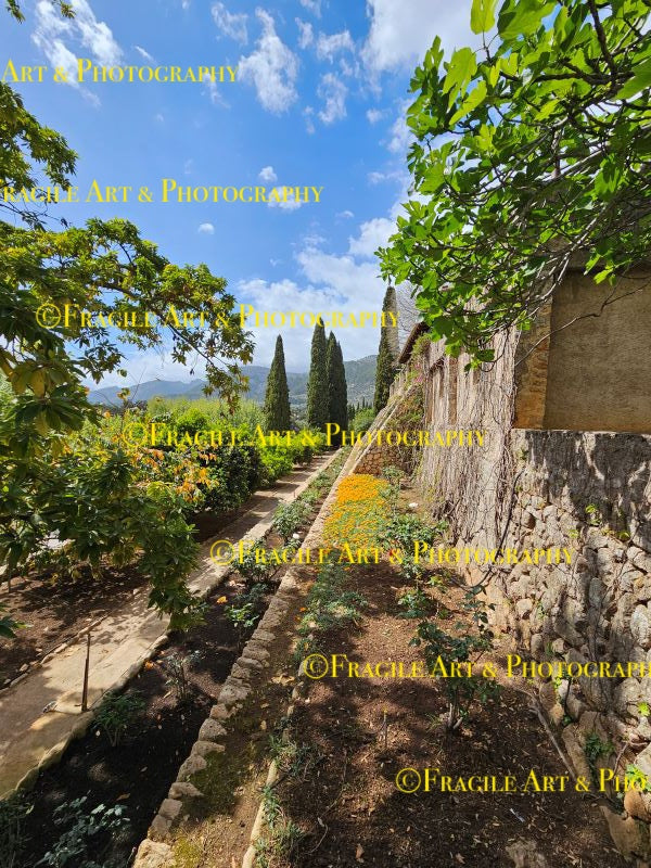 Valley View from the Coves de Campanet - Photograph