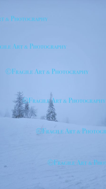 Misty Mountain View - Photograph