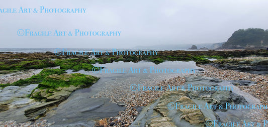 Kynance Cove Rock Pool - Photograph
