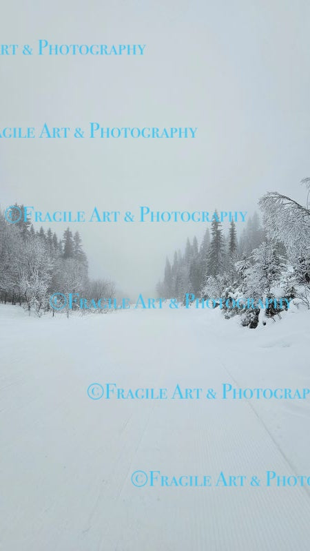 Misty Forest Ski Run - Photograph