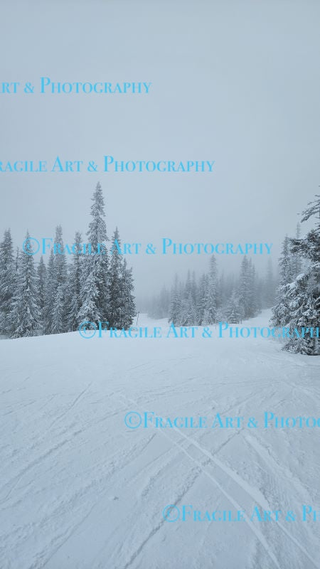 Misty Ski Run - Photograph