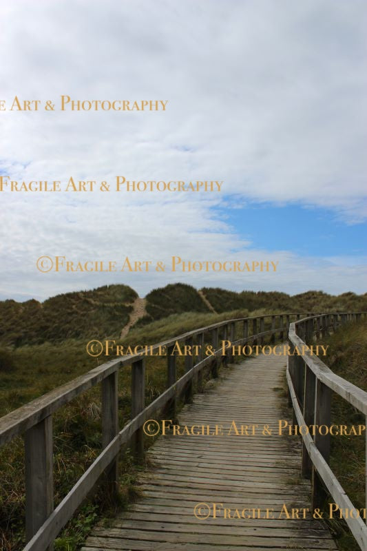 Boardwalk in Wales in Portrait - Photograph